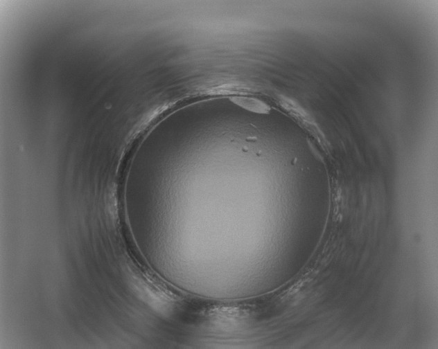 X0000062830298200601171426