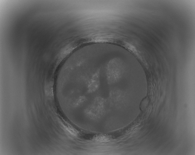 X0000062830299200601171426