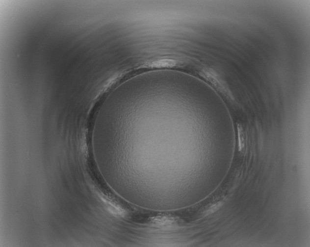 X0000062830300200601171426