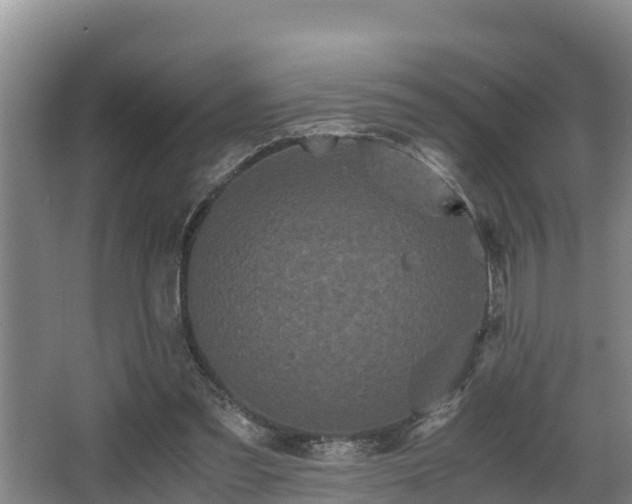 X0000062830301200601171426