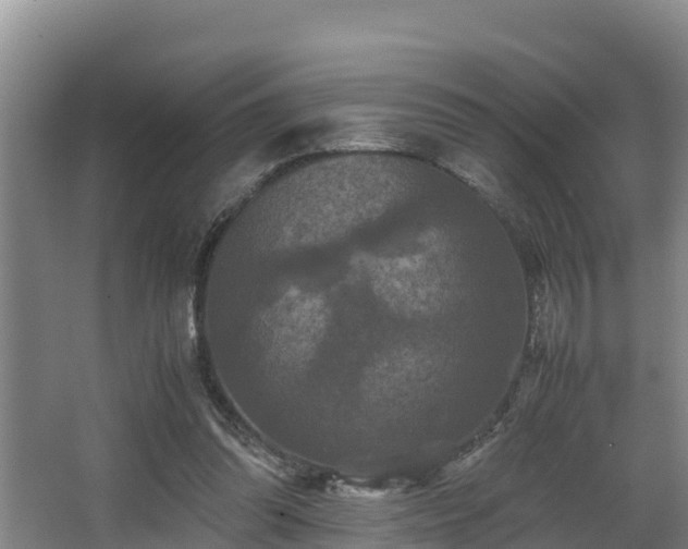 X0000062830302200601171426