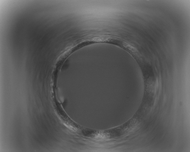 X0000062830303200601171426