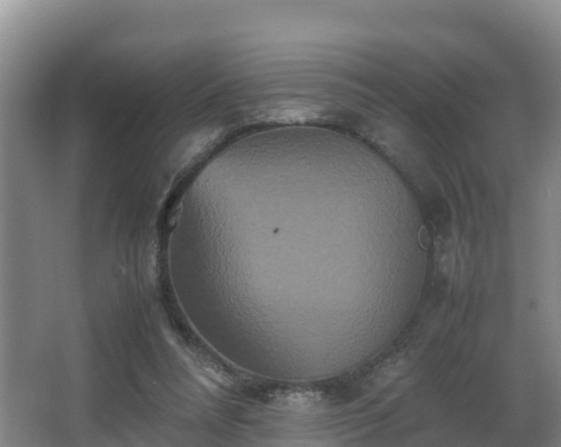 X0000062830304200601171426