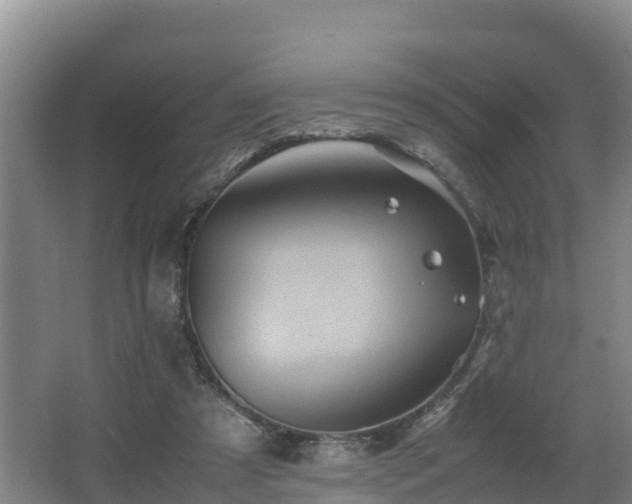 X0000062830305200601171426