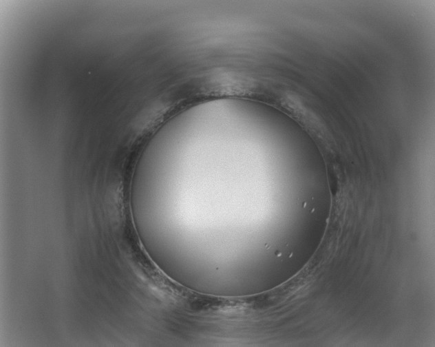 X0000062830306200601171426