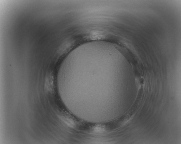 X0000062830308200601171426