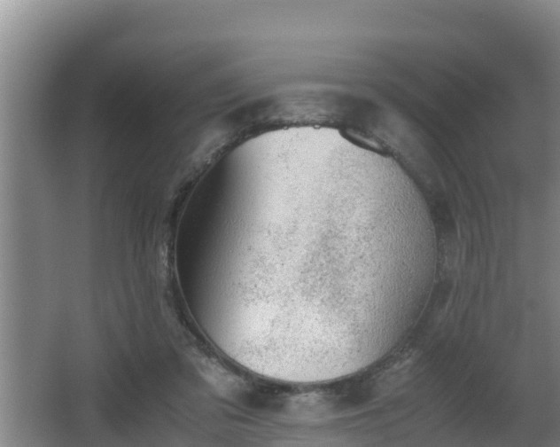 X0000062830309200601171426