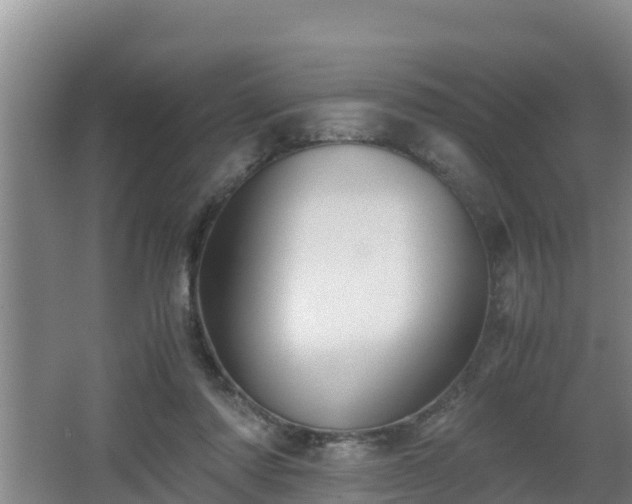 X0000062830310200601171426