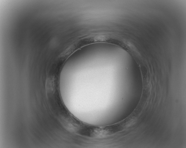 X0000062830311200601171426