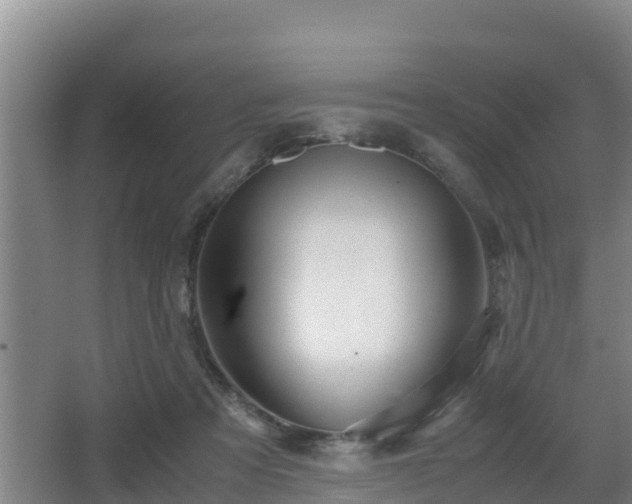 X0000062830313200601171426