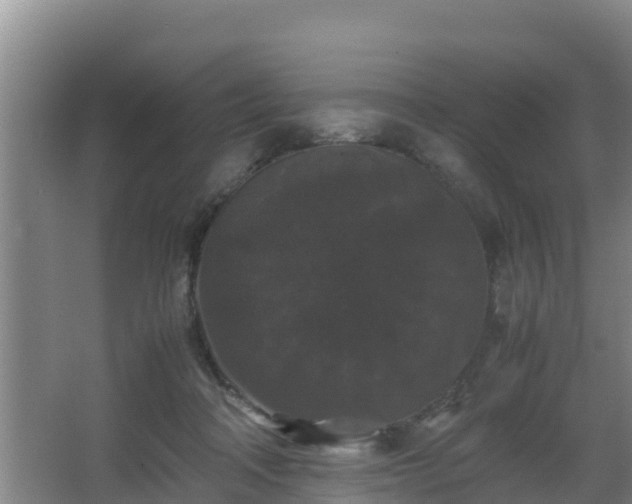 X0000062830314200601171426