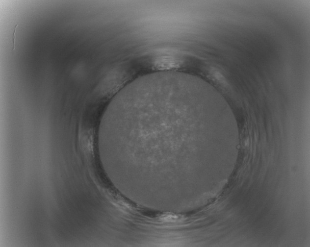 X0000062830315200601171426