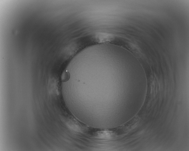 X0000062830316200601171426