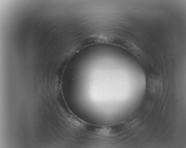 X0000062830318200601171426