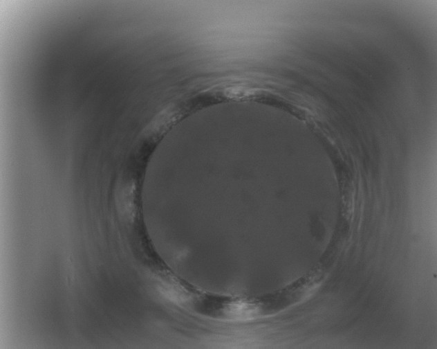 X0000062830319200601171426