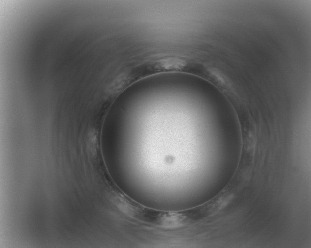 X0000062830321200601171426