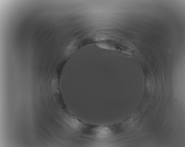 X0000062830322200601171426