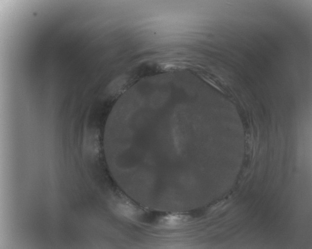 X0000062830323200601171426