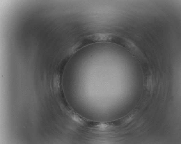 X0000062830326200601171426