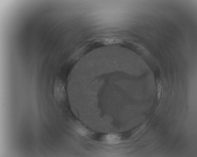 X0000062830327200601171426