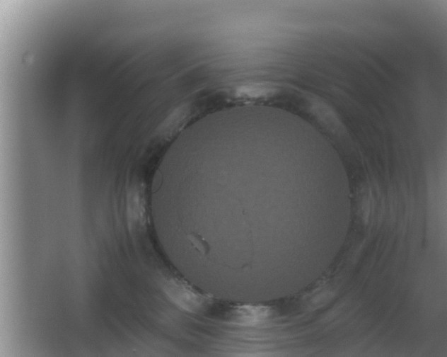 X0000062830328200601171426