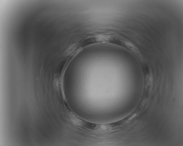 X0000062830329200601171426