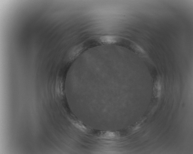 X0000062830330200601171426