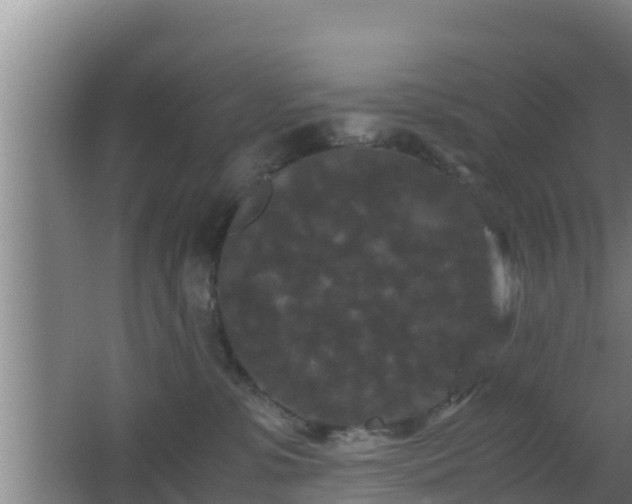 X0000062830331200601171426