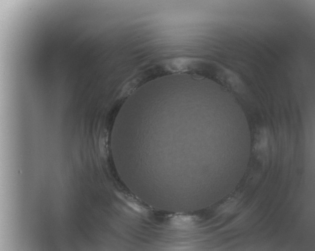 X0000062830332200601171426