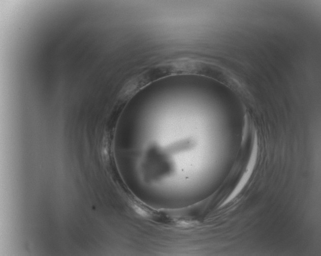 X0000062830333200601171426