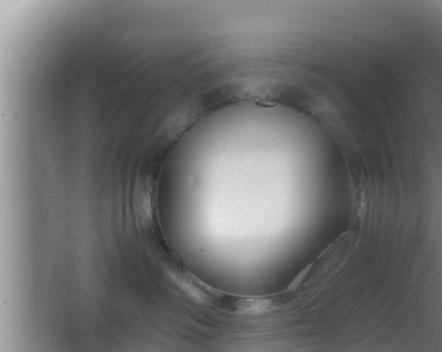 X0000062830334200601171426