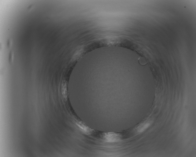 X0000062830336200601171426