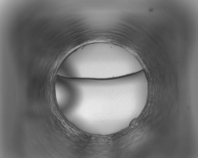 X0000062830337200601171425