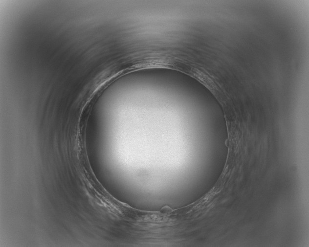 X0000062830338200601171425