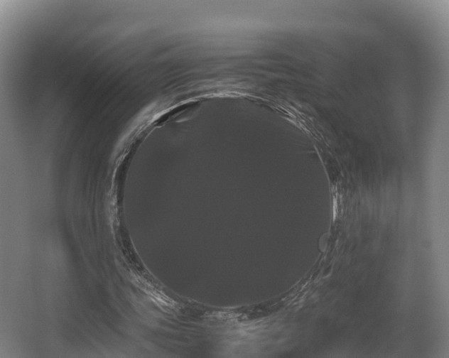 X0000062830339200601171425