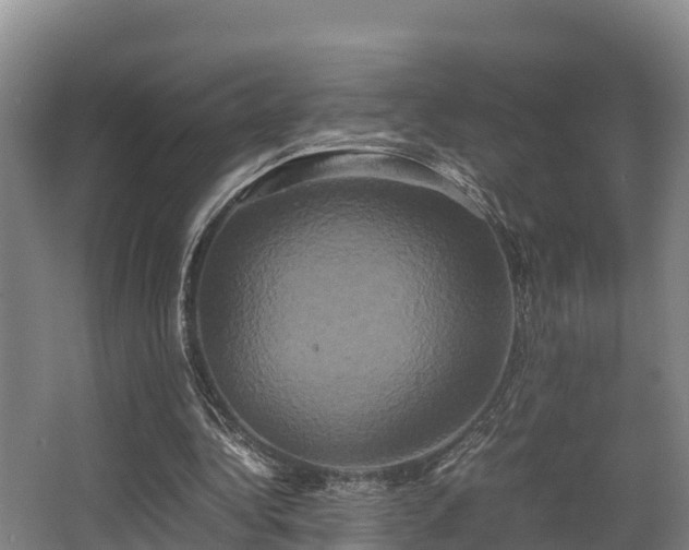 X0000062830340200601171425