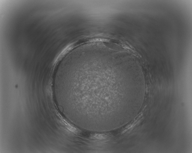 X0000062830341200601171425