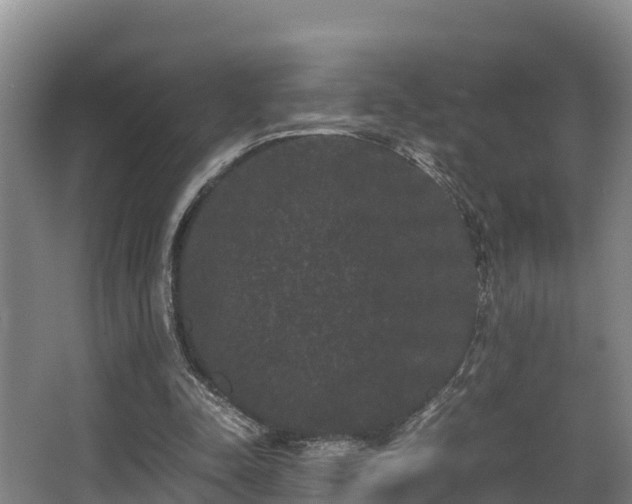 X0000062830342200601171425