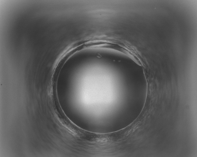 X0000062830344200601171425