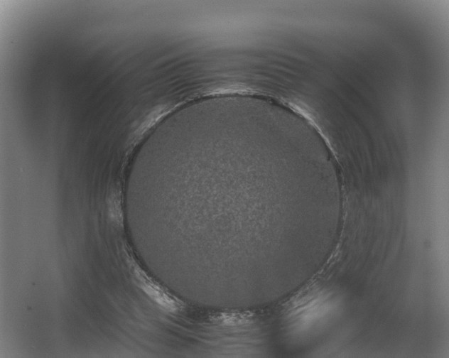 X0000062830345200601171425