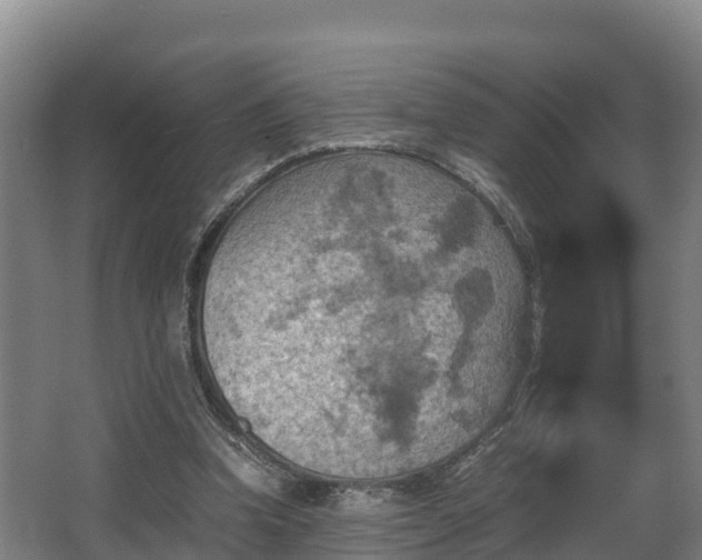 X0000062830346200601171425