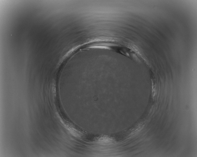 X0000062830348200601171425