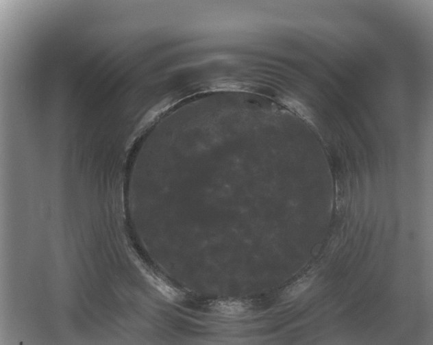 X0000062830349200601171425