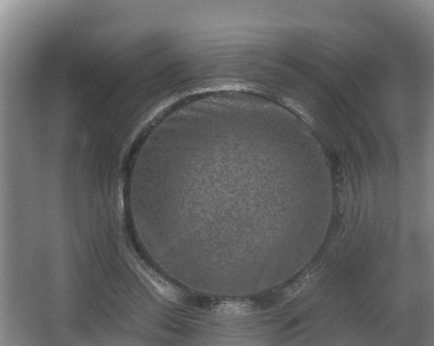 X0000062830350200601171425