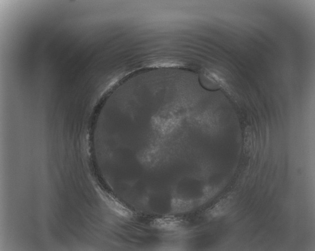 X0000062830351200601171425