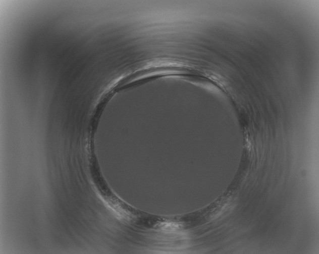 X0000062830352200601171425