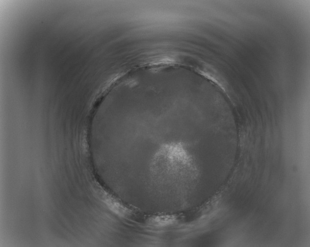 X0000062830353200601171425