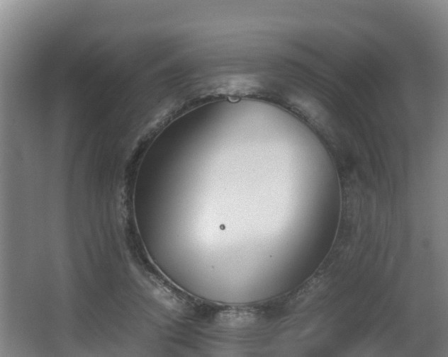 X0000062830354200601171425