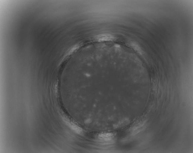 X0000062830357200601171425