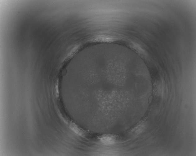 X0000062830358200601171425